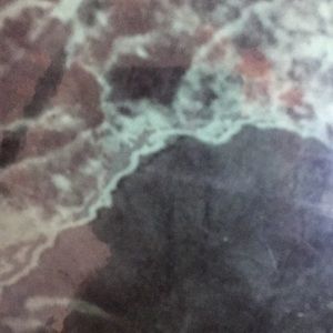 Meet your Posher, Luis